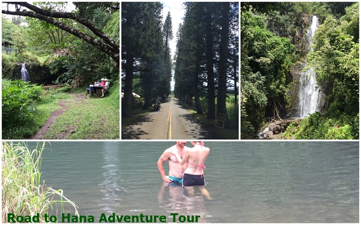 Road-to-Hana-Tour-with-swiming-at-falls